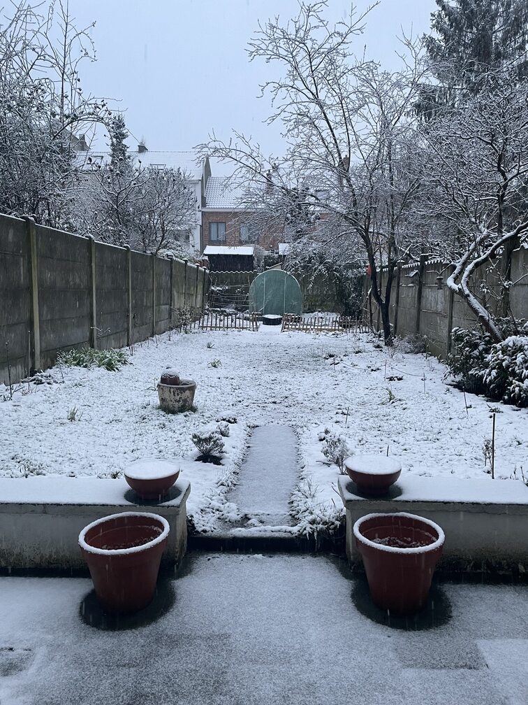 Un jardin écologique sous la neige à Bruxelles