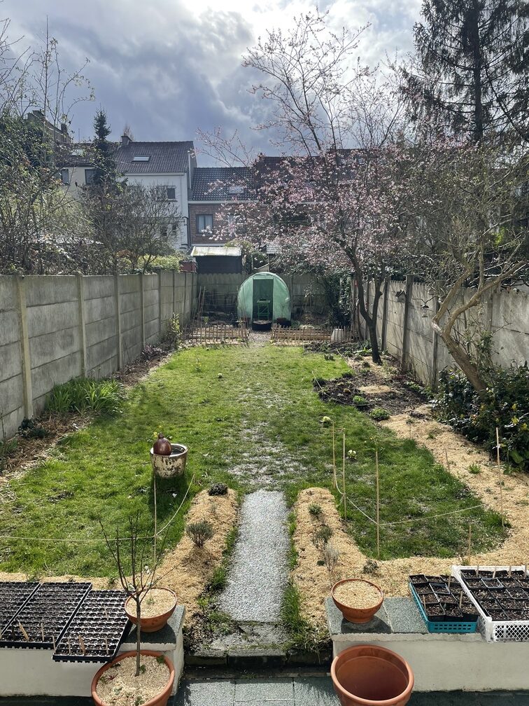 Un jardin écologique à Bruxelles en pleine transformation, avec des massifs paillés