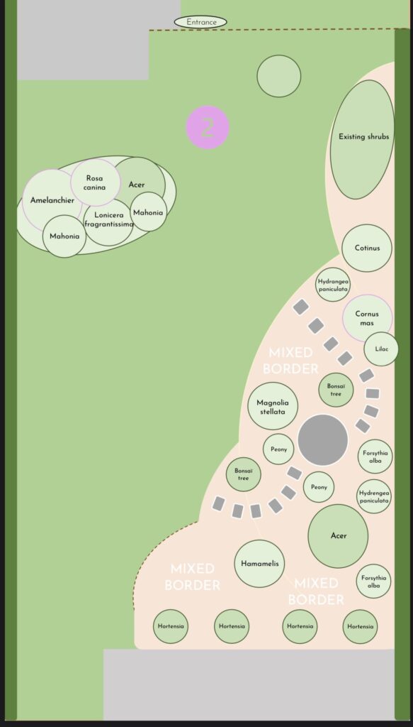 Plan d'aménagement de jardin écologique réalisé par Mauvaise Graine